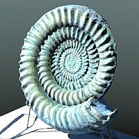 Spiralkörper (3D-Scan) Spiralkörper (3D-Scan)
