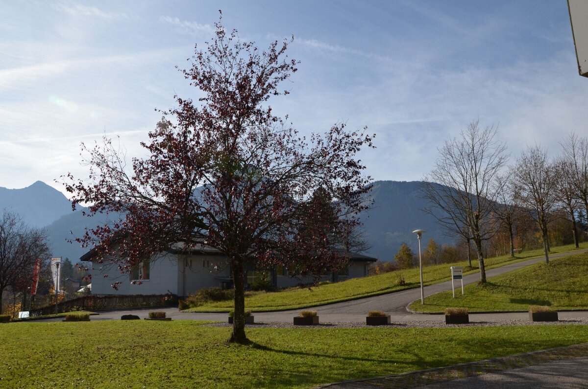 strobl2024_001