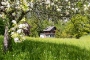 strobl2021 019