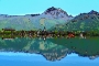 strobl2021 100